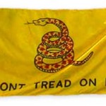 It's Time Washington D.C. Heeded the Constitution