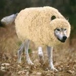 Wolves in Sheep's Clothing?