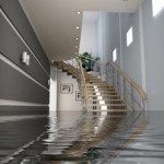 A Basement Full of Water: Another View of the Health Care Ruling
