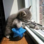 Tenth Amendment 'Terrorism'