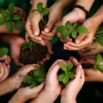 Small Things Grow Great by Concord