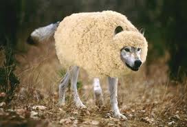 Wolves in Sheep’s Clothing?