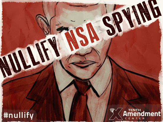 Nullify NSA: The Resistance Begins Now