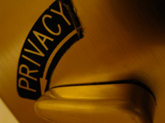 constitutional right to privacy in political contributions
