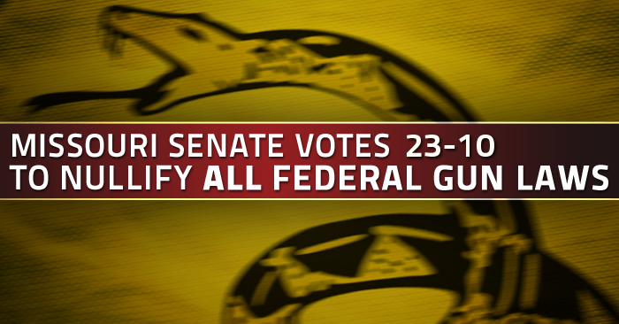 Missouri Senate Votes to Nullify Federal Gun Control, 23-10