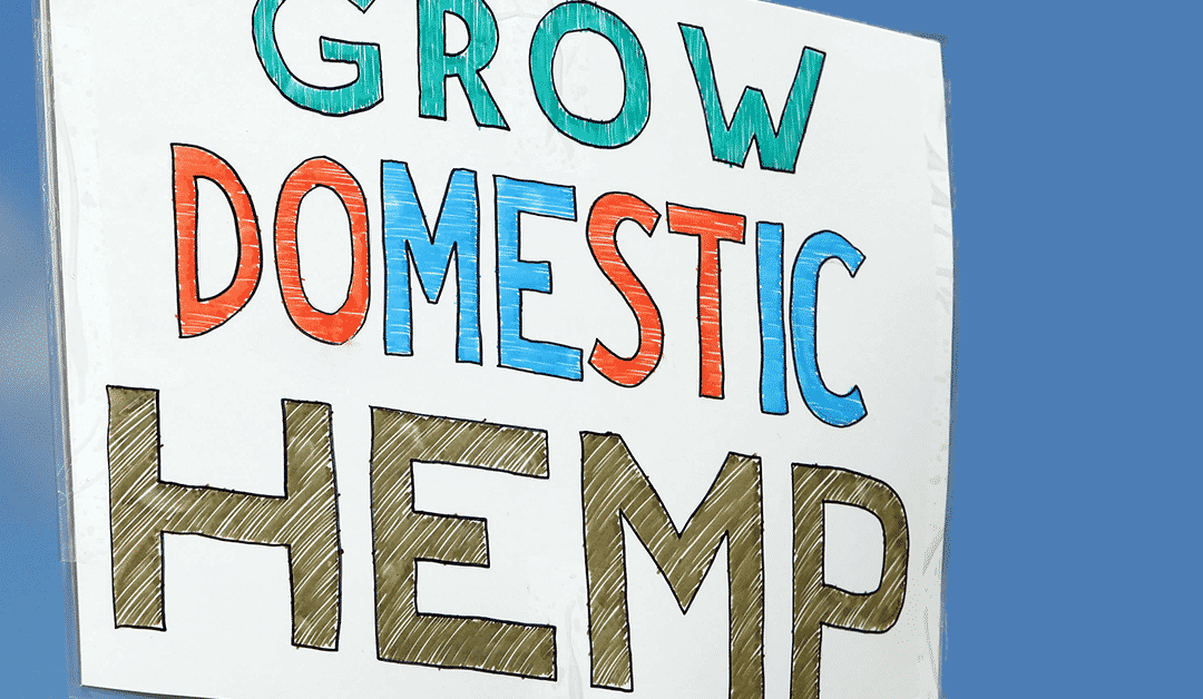 Farmers and Entrepreneurs Growing a Successful Hemp Industry Despite Federal Prohibition