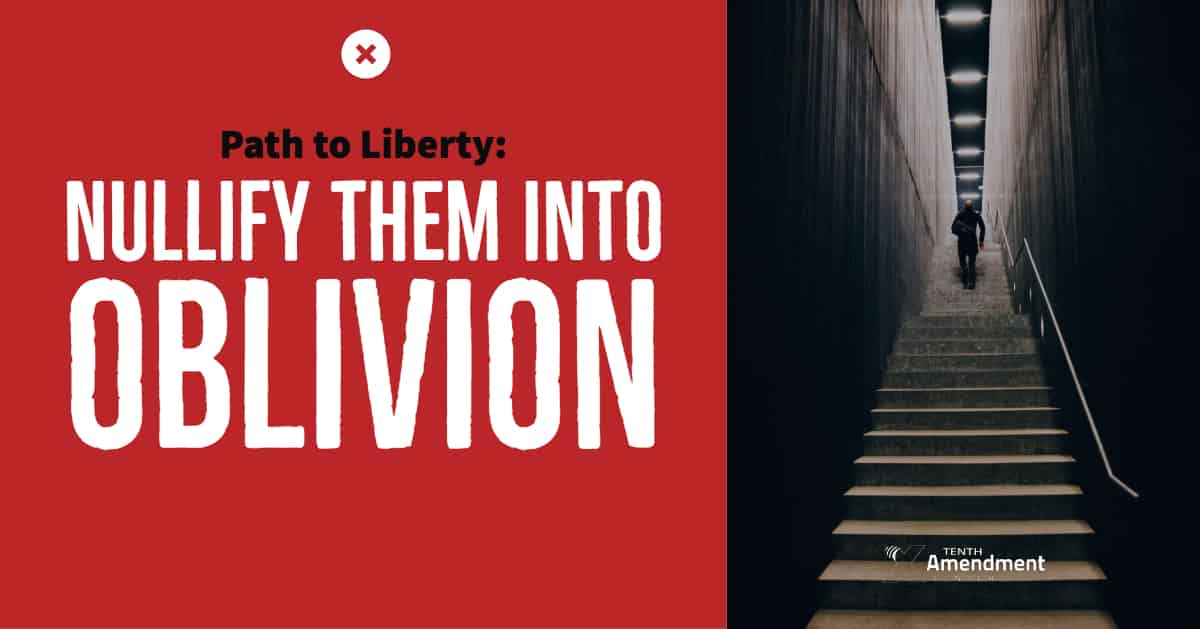 Path to Liberty: Nullify Them into Oblivion