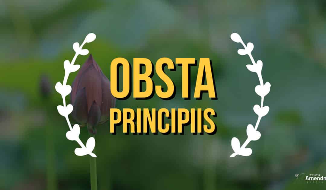 Obsta principiis: Nip the Shoots of Arbitrary Power in the Bud