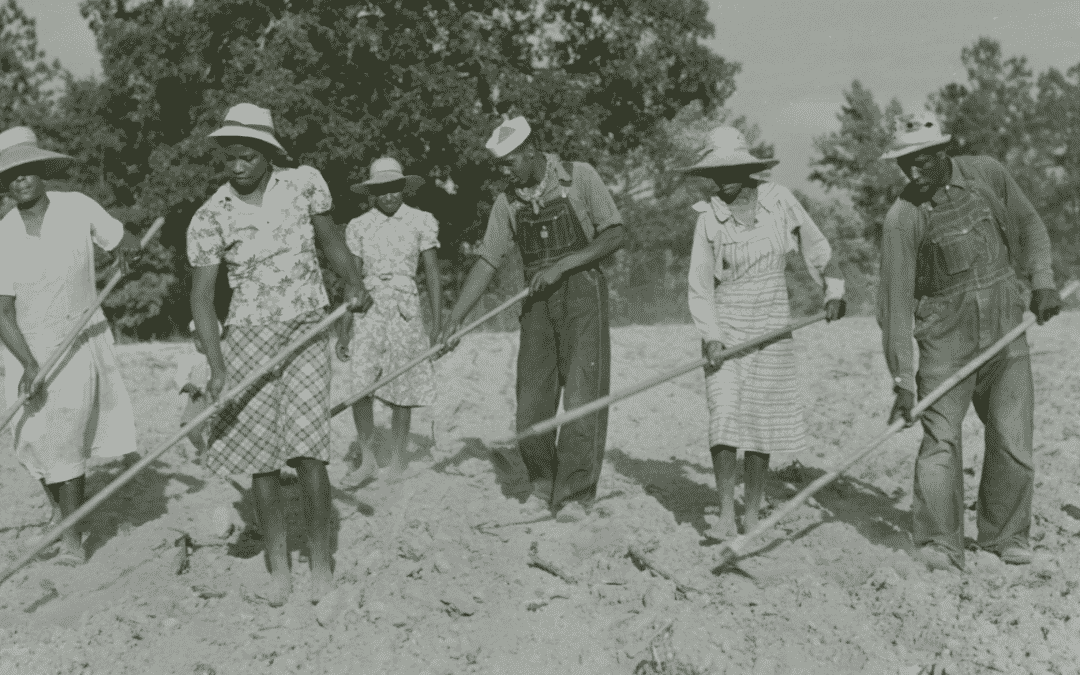 How Federal Programs Helped Rich White People and Corporations Steal Land from Poor Black Farmers