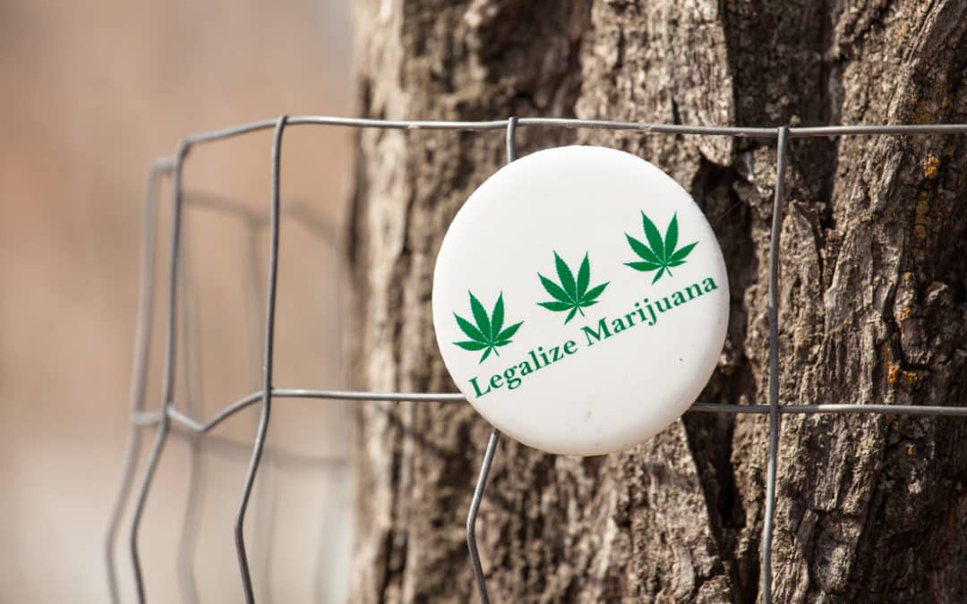 Status Report: Nullify Federal Marijuana Prohibition
