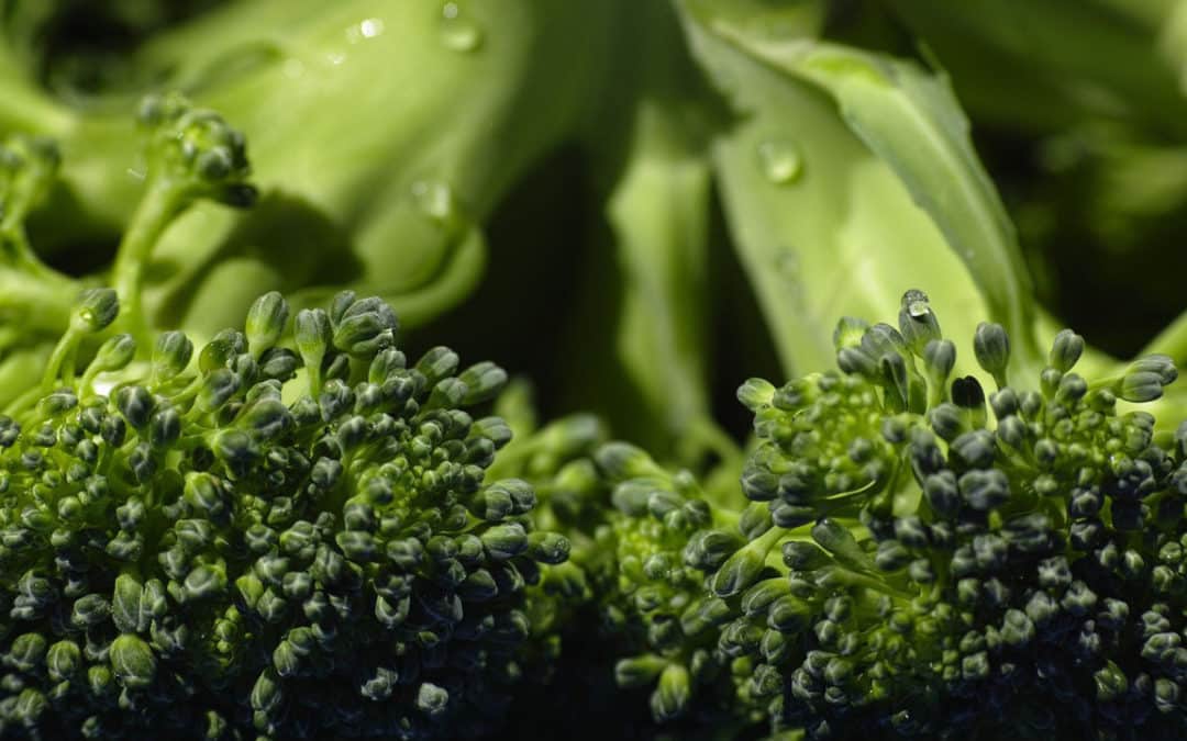 Can the Government Force Us to Eat Broccoli?