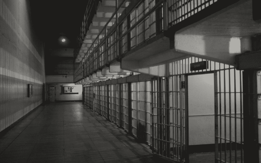 Locked Up: How the Modern Prison-Industrial Complex Puts So Many Americans in Jail
